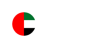 UAE flag icon