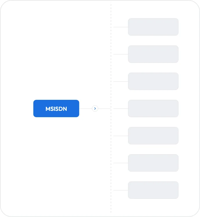 MSISDN-based user flow diagram for mobile user identification
