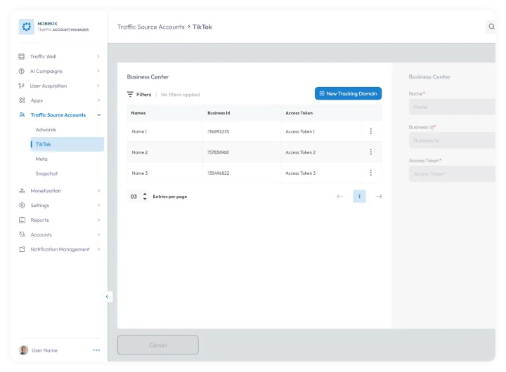 TikTok traffic source accounts dashboard displaying business center list and access tokens